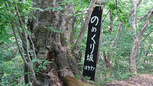 青荷のめくり坂

