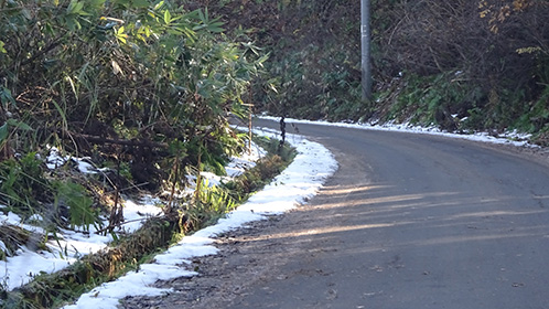 2日ほど前に降った雪が道脇に・・・「青荷山道」