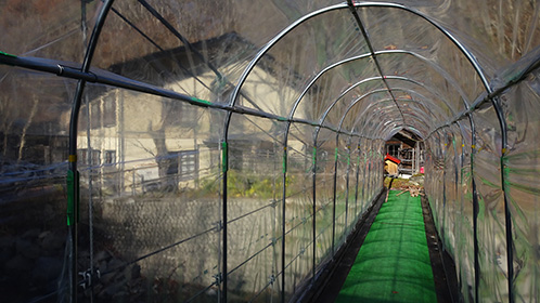 この日開通したばかりの「吊り橋トンネル」
