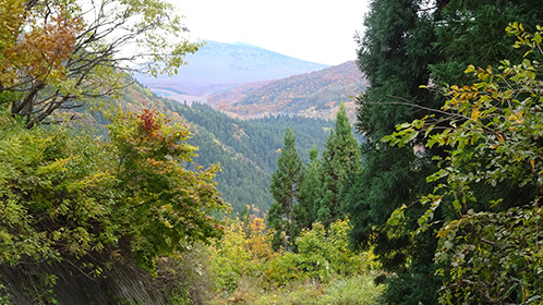 奥山の「櫛ガ峰山頂」は初雪、その下方は紅葉真っ盛り。