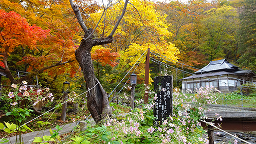 本館裏口と吊り橋、奥は「十方堂」
