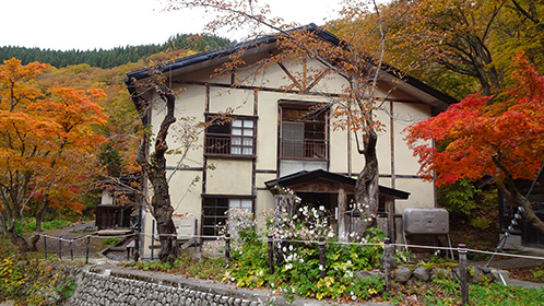 「本館裏口」に目立つ赤く染まる木々