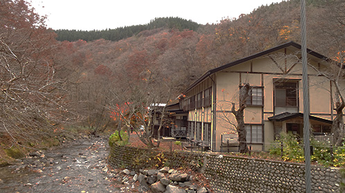 奥の離れから見ると本館後ろは、すっかり葉落ちした樹木の山並み。