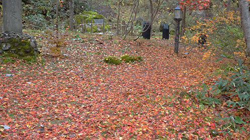 「十方堂」の横には落ち葉のジュウタン。