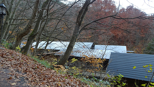 のめくり坂から見る「水車館」「の屋根と「ポンプ小屋」。