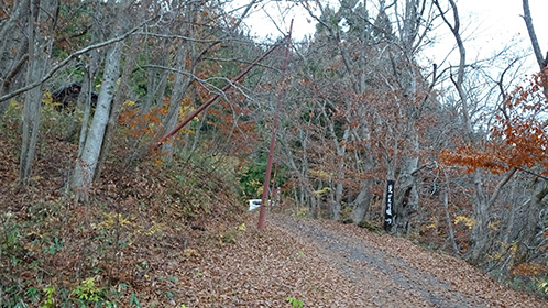 「のめくり坂」もすっかり「落ち葉ジュウタン」