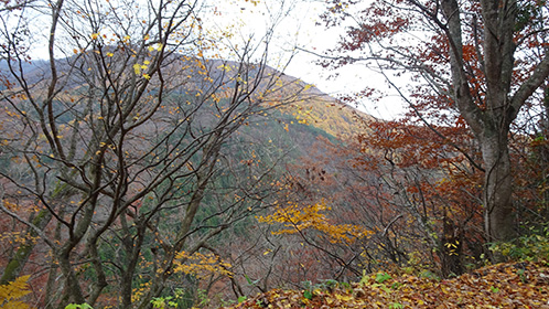 青荷の砂利道から対岸の山を見る